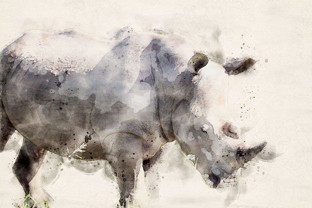Abstract African Rhinoceros Watercolor Art art print by Arno Du Toit for $57.95 CAD
