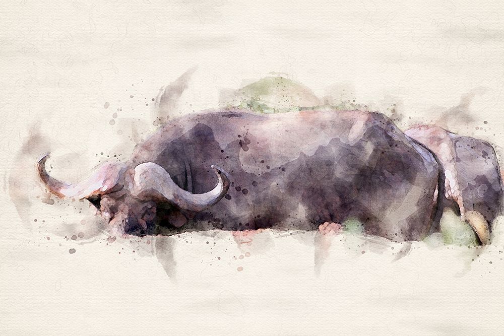 Abstract African Buffalo Watercolor Art art print by Arno Du Toit for $57.95 CAD