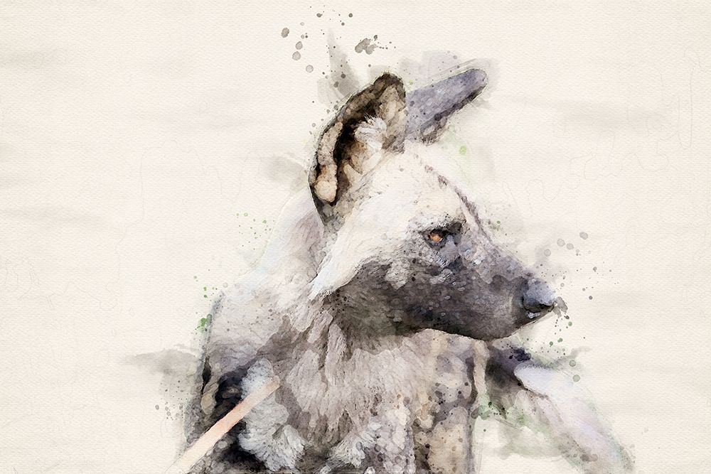 Abstract African Wild Dog Watercolor Art art print by Arno Du Toit for $57.95 CAD