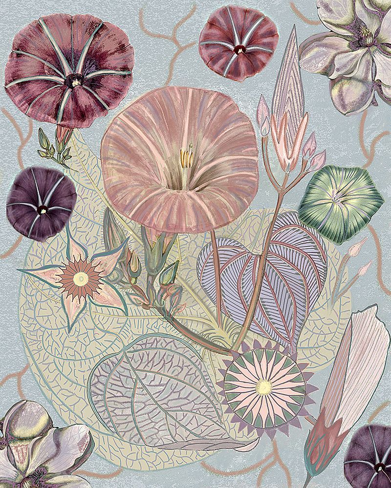 Vintage Wildflowers.png art print by Giovanna Nicolo for $57.95 CAD