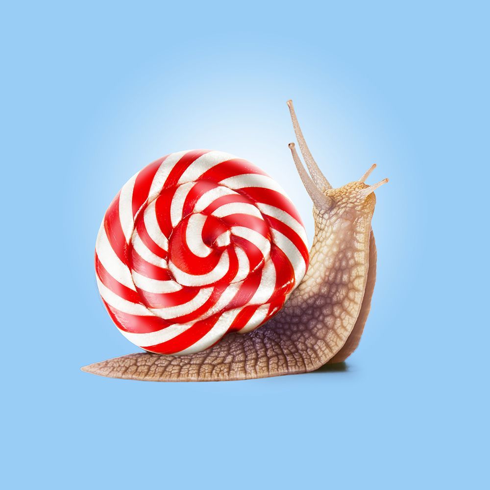 Snail Candy art print by Artem Pozdniakov for $57.95 CAD
