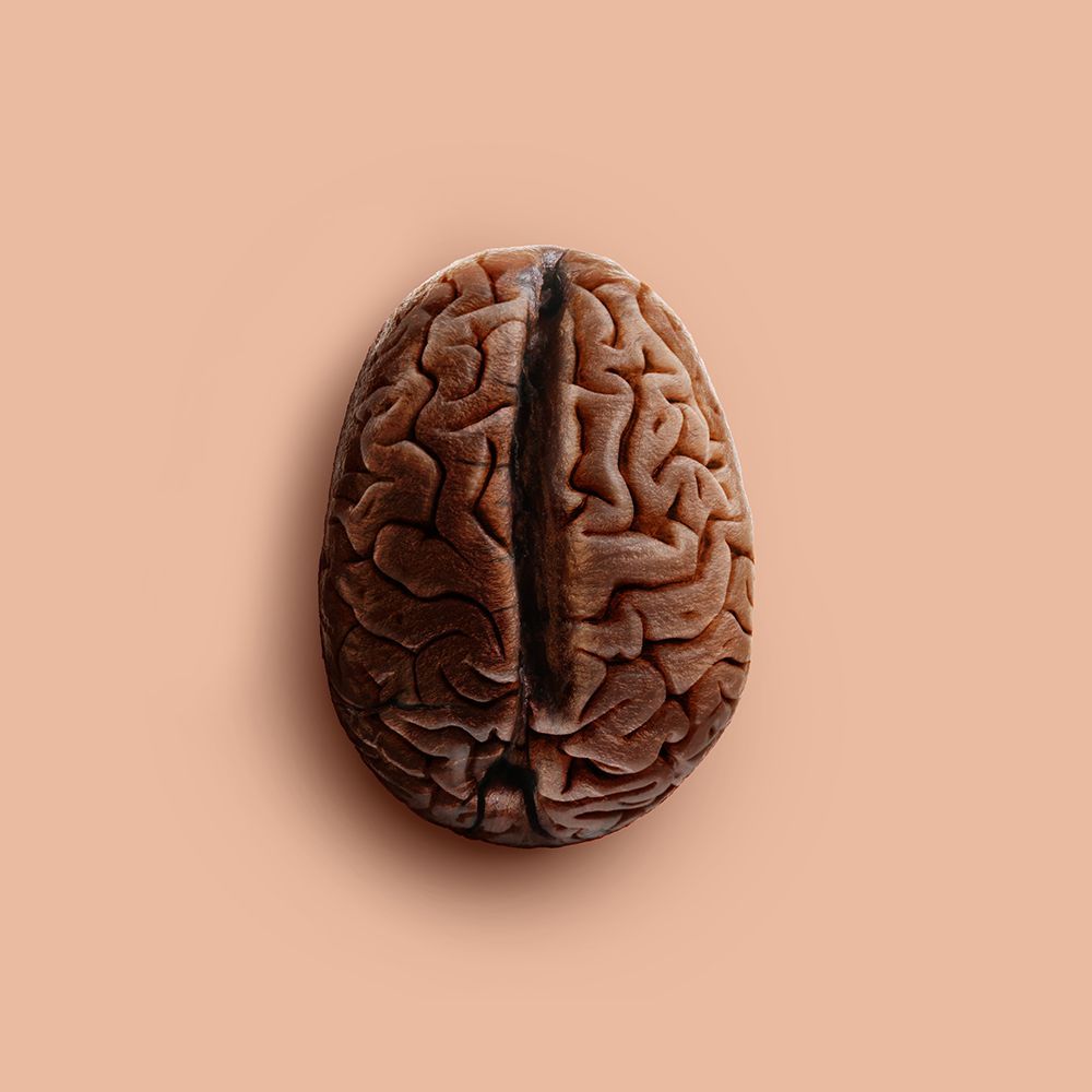 Brain Bean art print by Artem Pozdniakov for $57.95 CAD