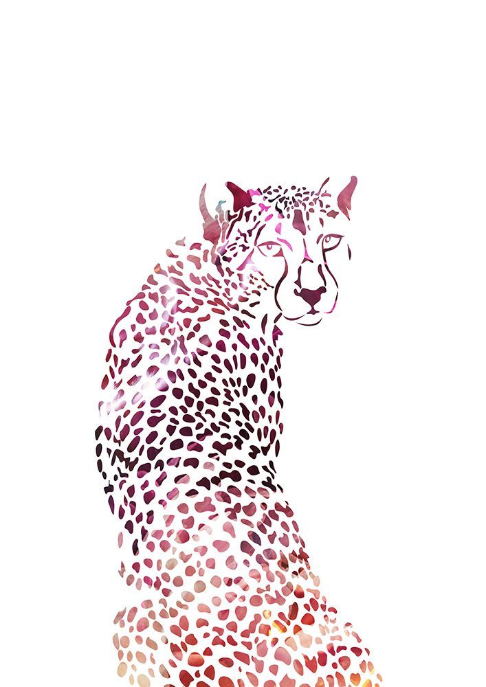 Pink Cheetah art print by Sarah Manovski for $57.95 CAD