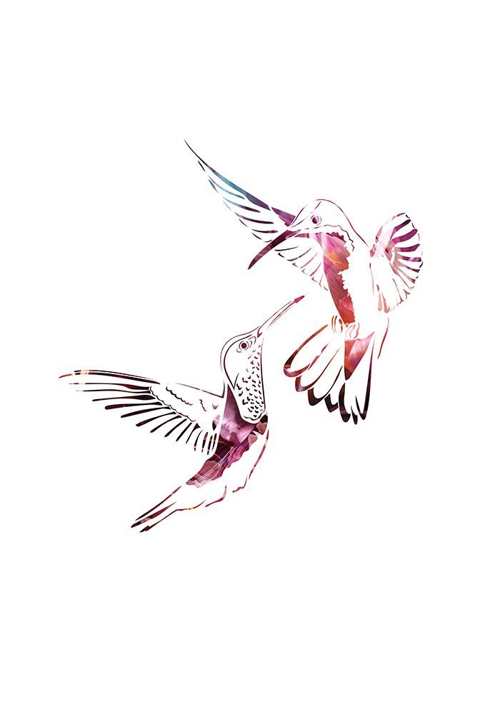 Colourful Hummingbirds art print by Sarah Manovski for $57.95 CAD