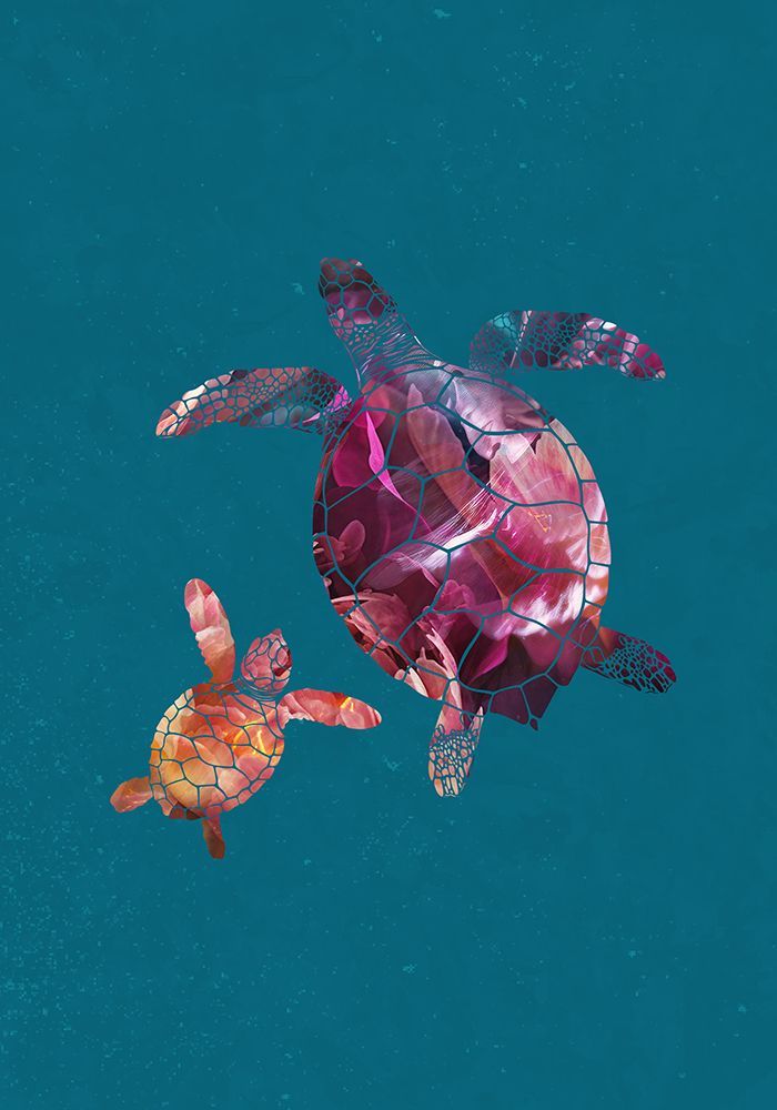 Colourful Turtles art print by Sarah Manovski for $57.95 CAD