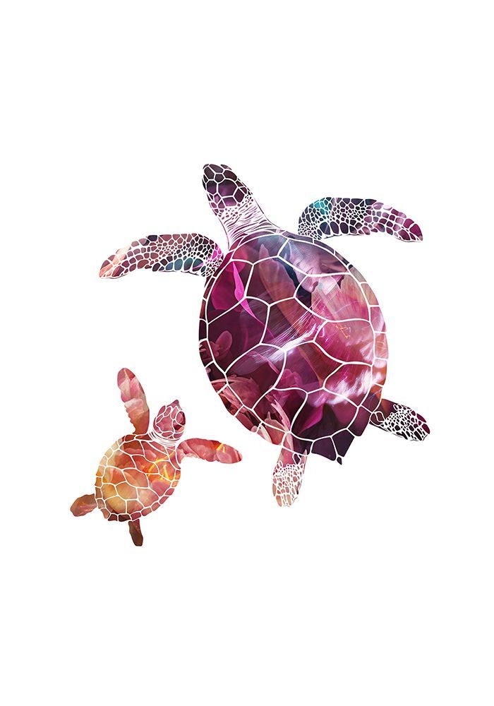 Abstract pink turtles art print by Sarah Manovski for $57.95 CAD