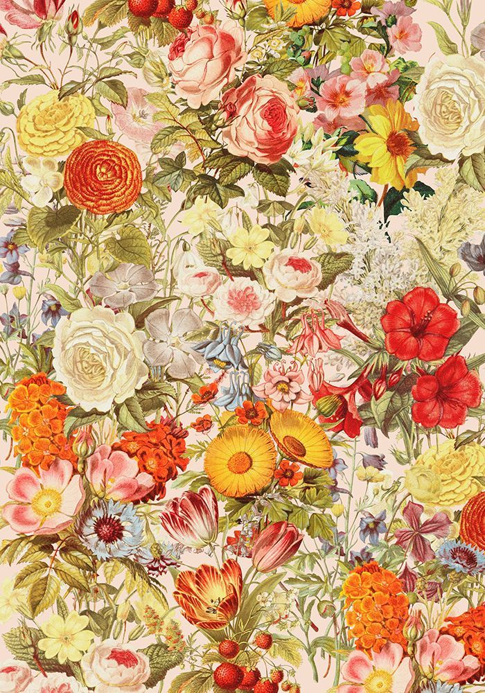 Botany art print by Frida Floral Studio for $57.95 CAD