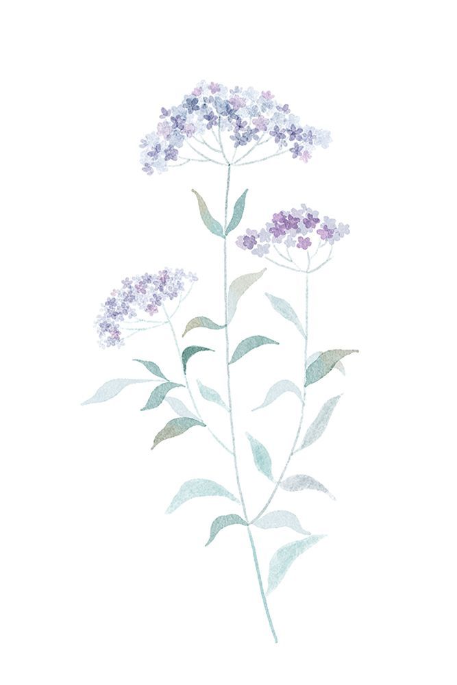 Little Purple Flower art print by Xuan Thai for $57.95 CAD