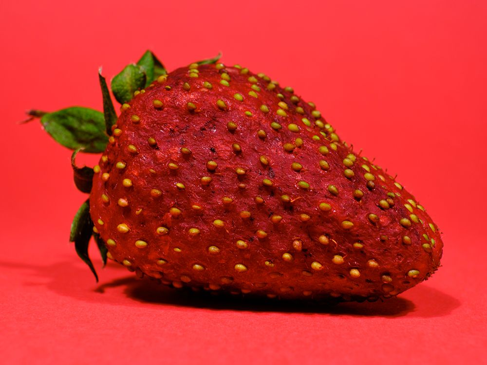 Strawberry Isolated On Red Background art print by Engin Akyurt for $57.95 CAD