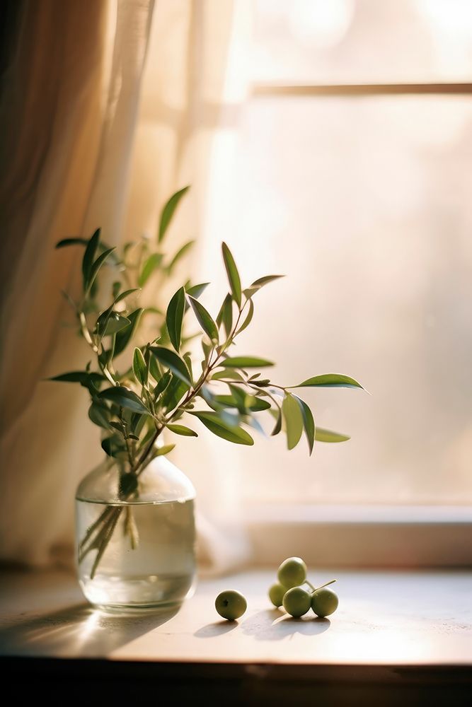 Olives By The Window art print by Treechild for $57.95 CAD