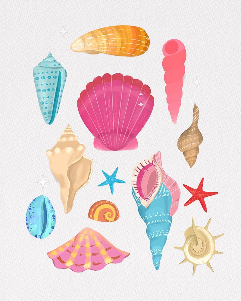 Seashells art print by Petra Lizde for $57.95 CAD