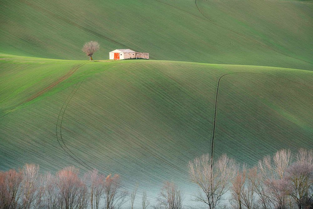 The cottage in the fields art print by Fiorenzo Carozzi for $57.95 CAD