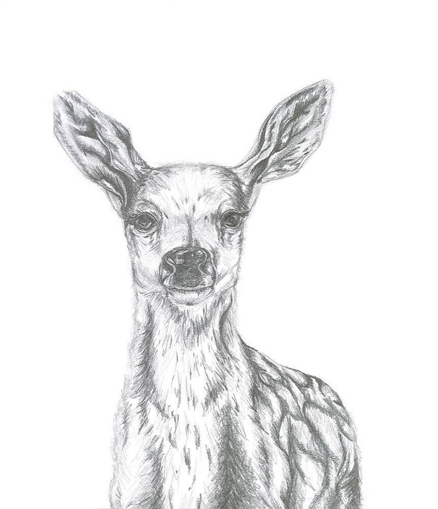 Deer art print by Lor Muller for $57.95 CAD
