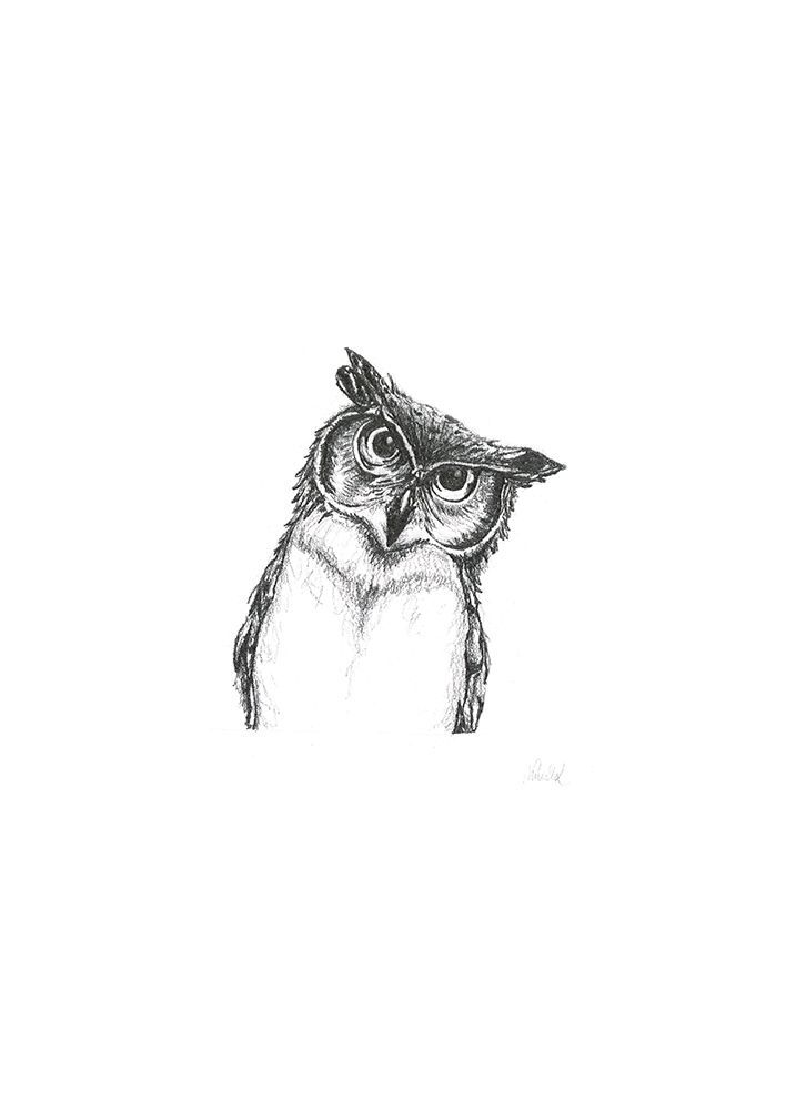 Owlet art print by Lor Muller for $57.95 CAD