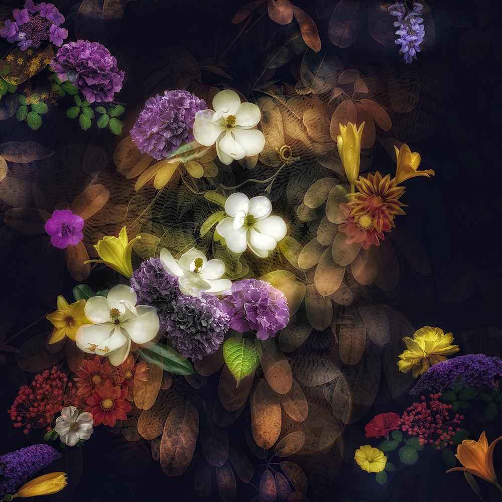 Mirabilis art print by Ludmila Shumilova for $57.95 CAD