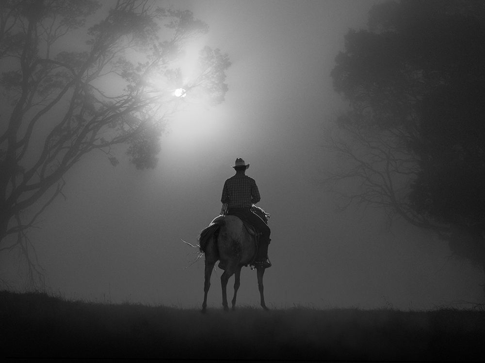 Riding in Dawn Mist art print by Frank Ma for $57.95 CAD