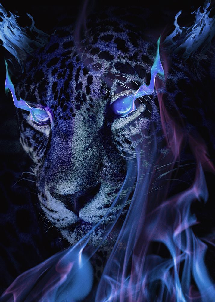 Mystical Tiger Darkness art print by Al Barizi for $57.95 CAD