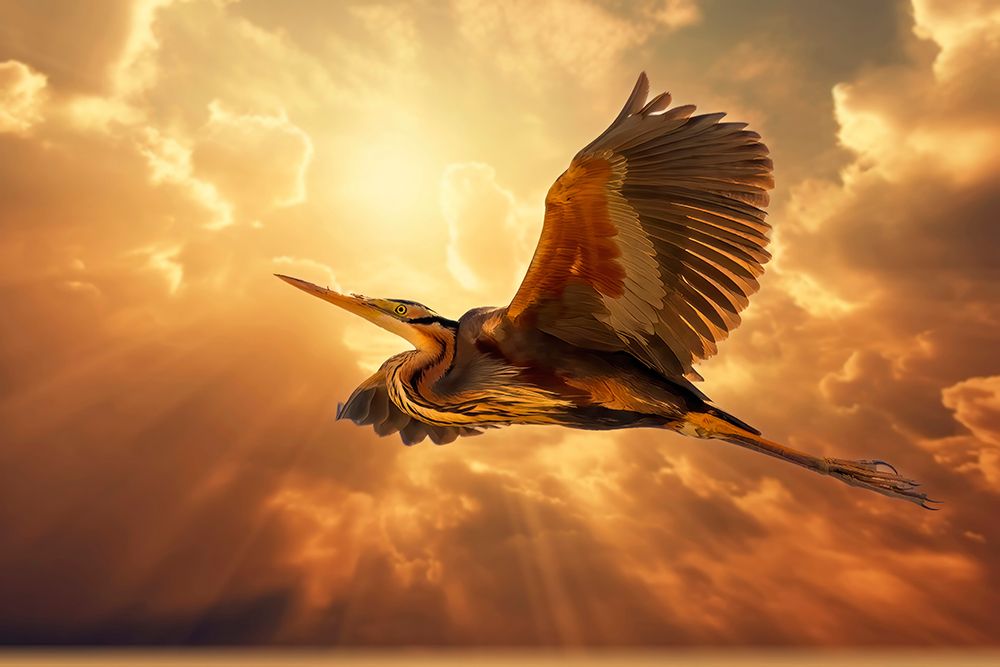 Sky Heron art print by Bassant Meligy for $57.95 CAD