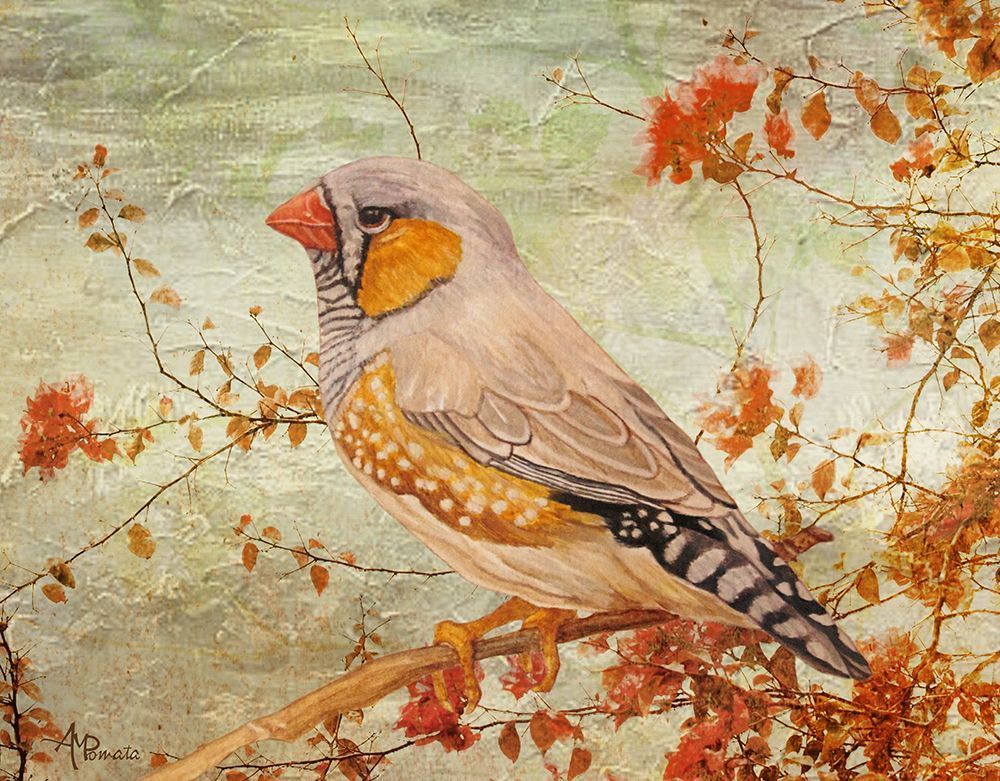 Zebra Finch Among Almond Trees art print by Angeles M. Pomata for $57.95 CAD