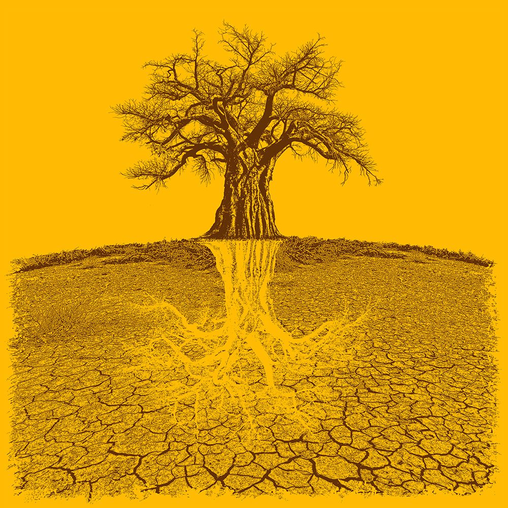 Baobab Mythical Roots Deeper Yellow (H) art print by Carlo Kaminski for $57.95 CAD