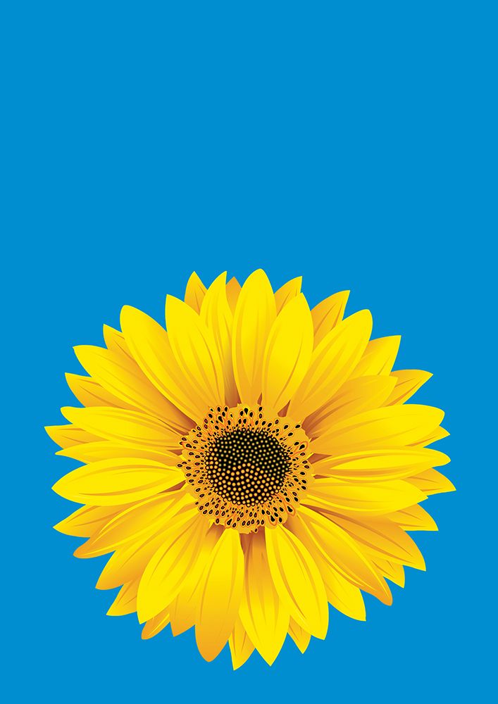 Sunflower On Blue (H) art print by Carlo Kaminski for $57.95 CAD