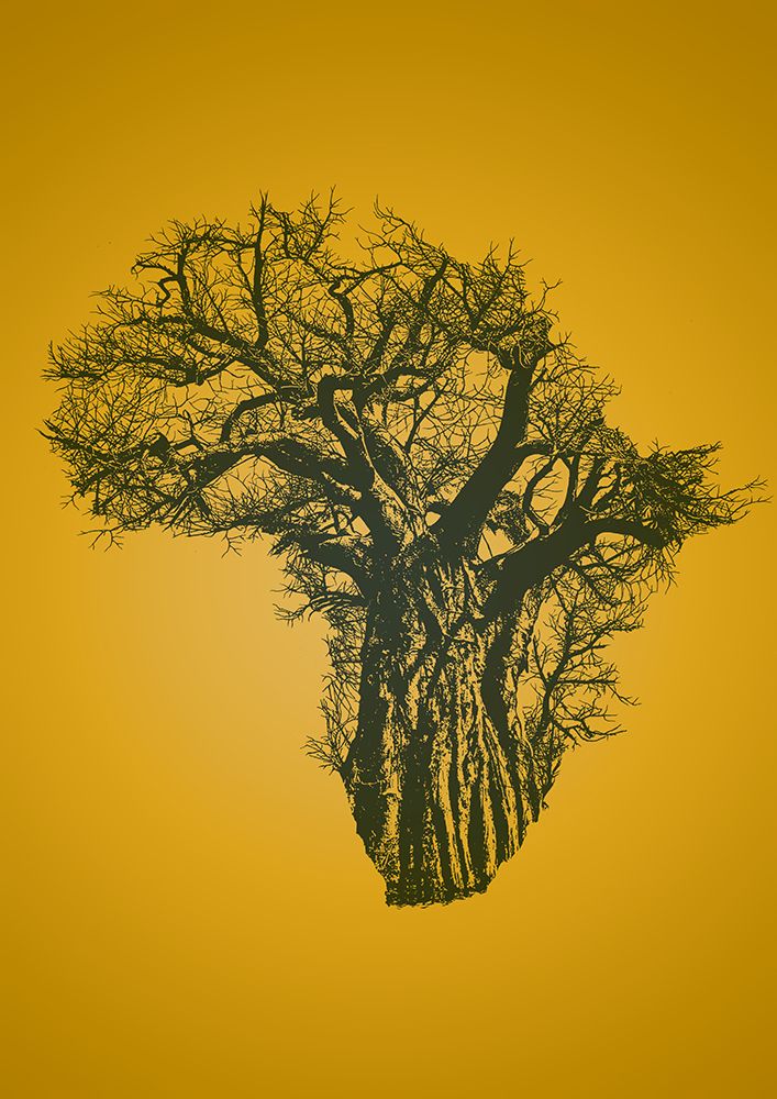 African Baobab Tree At Sunset art print by Carlo Kaminski for $57.95 CAD
