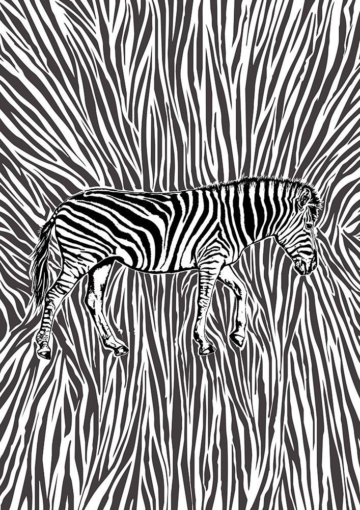 African Zebra Striking Camouflage art print by Carlo Kaminski for $57.95 CAD