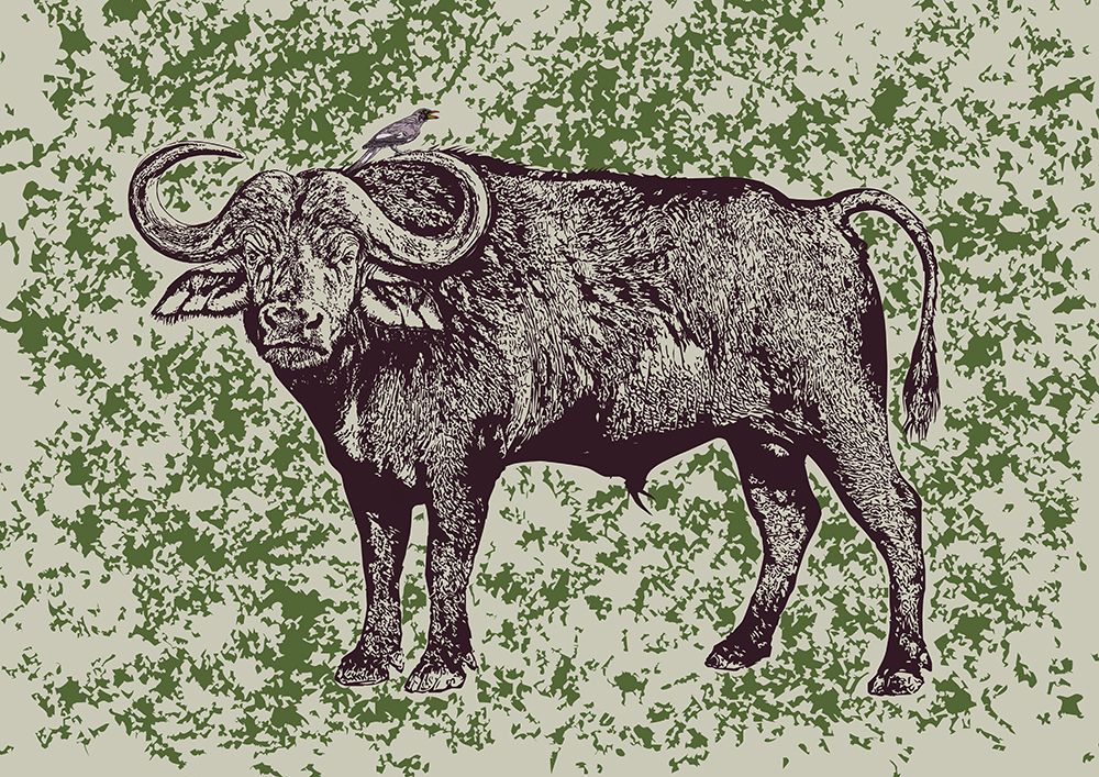 Cape Buffalo And Oxpecker art print by Carlo Kaminski for $57.95 CAD
