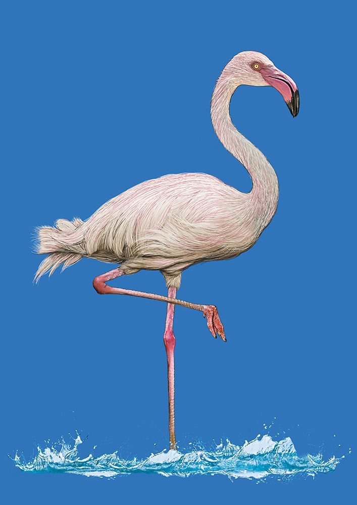 Pinkish Flamingo In Water Blue Sky art print by Carlo Kaminski for $57.95 CAD