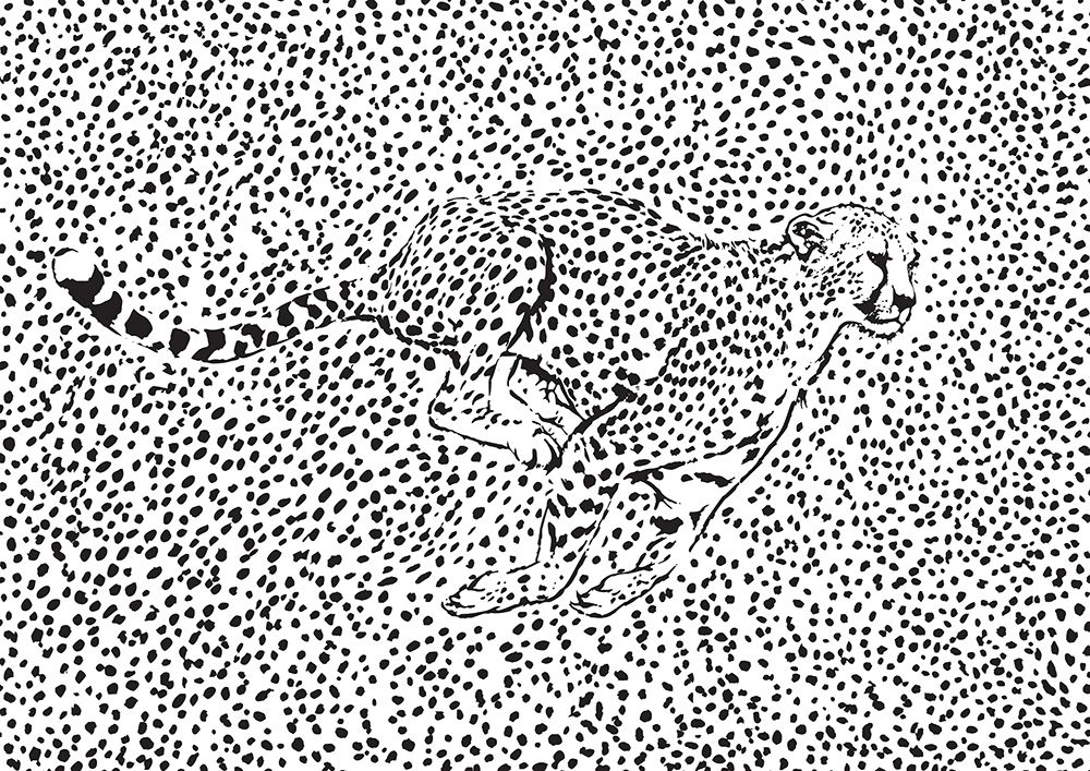 Cheetah Full Sprint art print by Carlo Kaminski for $57.95 CAD