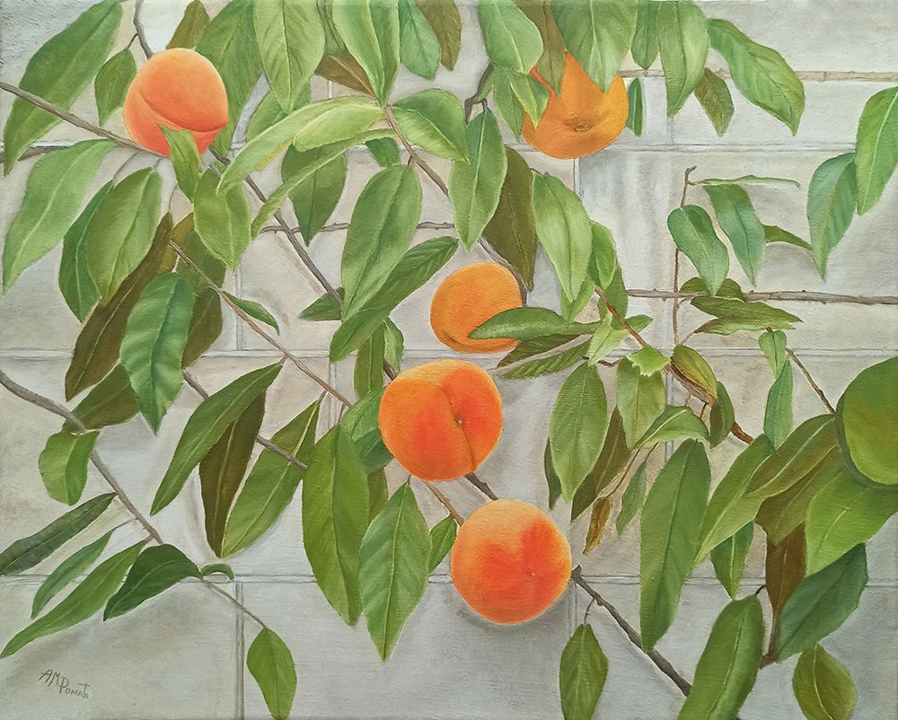 Peaches art print by Angeles M. Pomata for $57.95 CAD