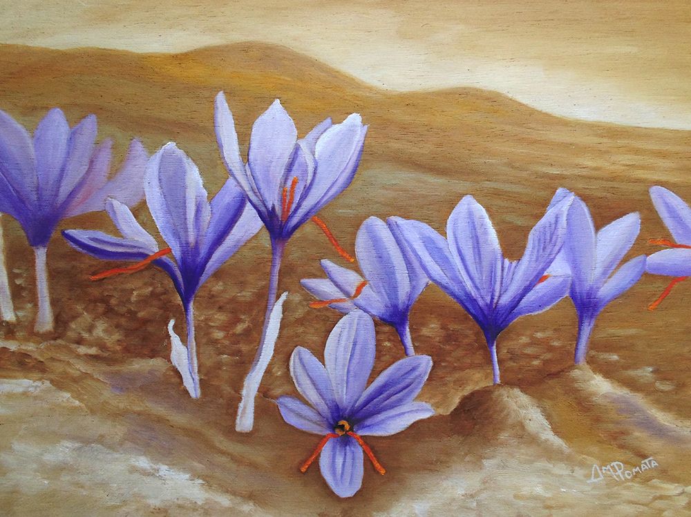 Saffron Flowers art print by Angeles M. Pomata for $57.95 CAD