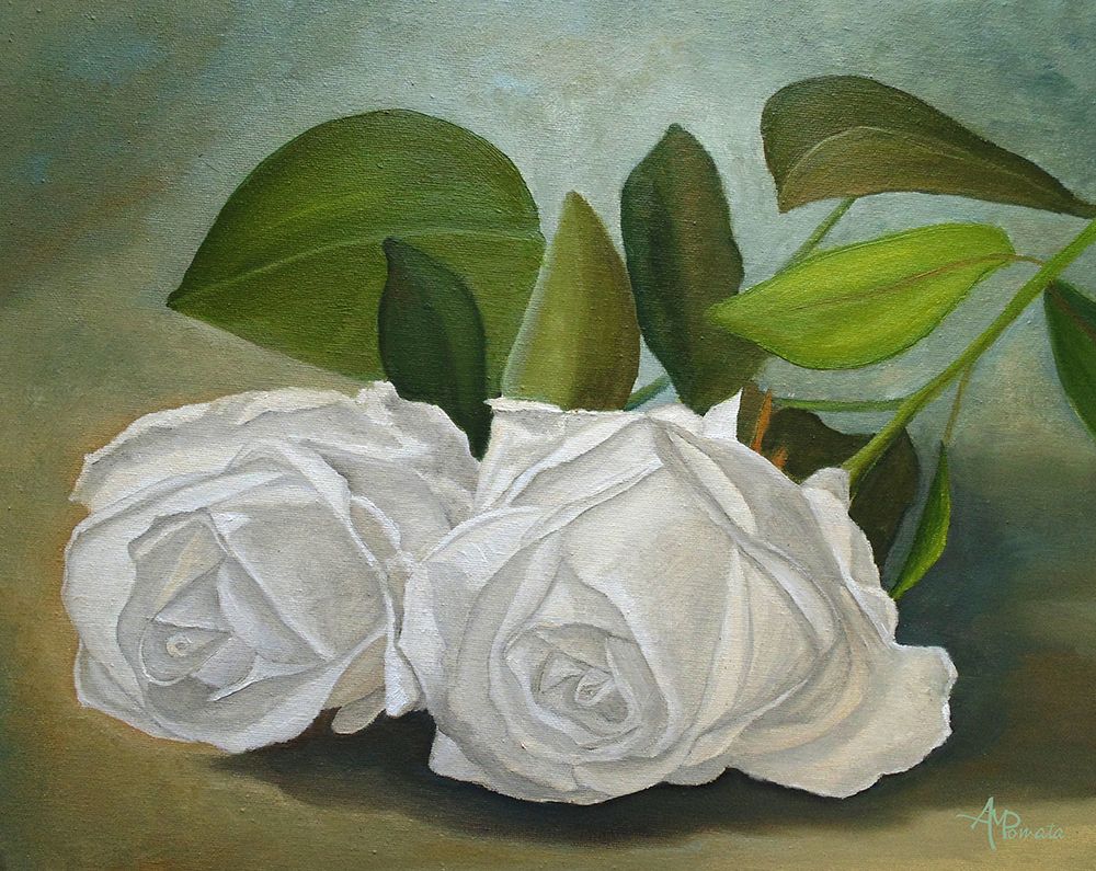 White Roses art print by Angeles M. Pomata for $57.95 CAD