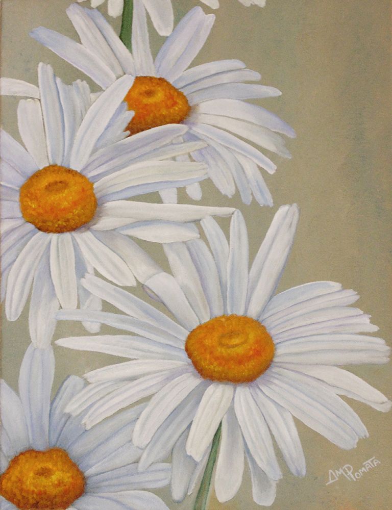 White Daisies art print by Angeles M. Pomata for $57.95 CAD