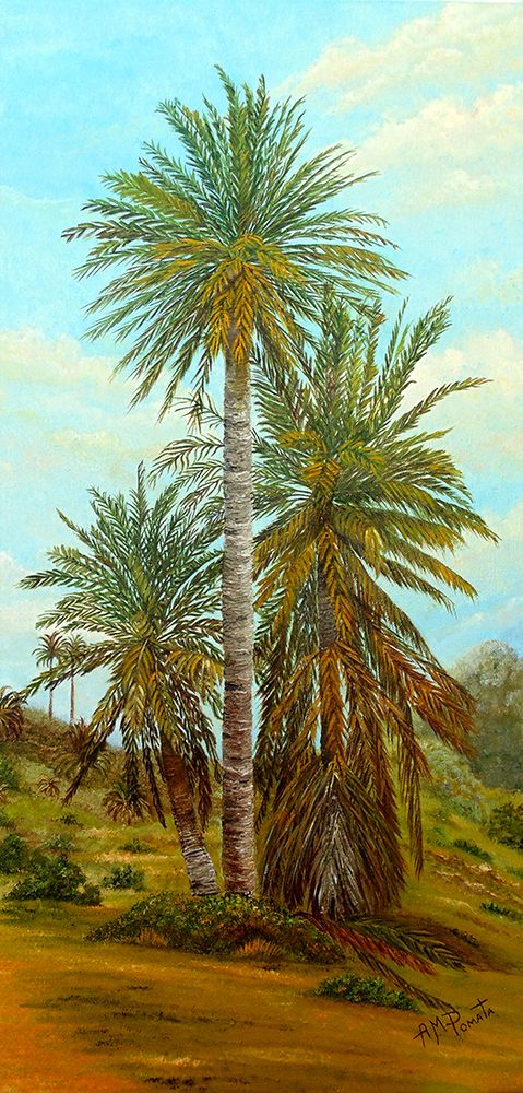 Palm Trees art print by Angeles M. Pomata for $57.95 CAD