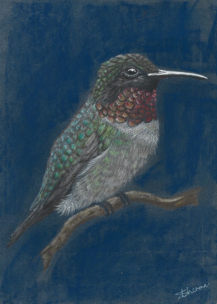 Hummingbird art print by Sunet Theron for $57.95 CAD