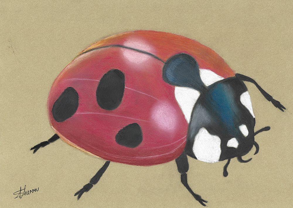 Lady Bird art print by Sunet Theron for $57.95 CAD