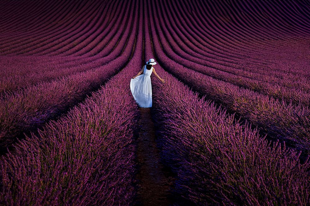 Provence Ultra Purple art print by Kenneth Zeng for $57.95 CAD