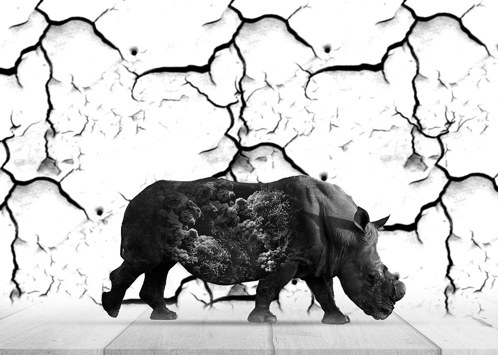 Rhinoceros art print by Salome Zhividze for $57.95 CAD