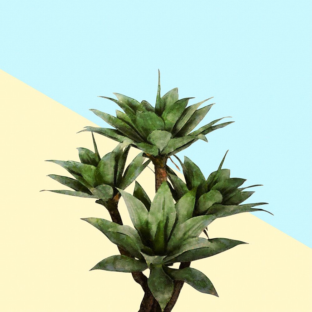 Agave 02 art print by Amini54 for $57.95 CAD