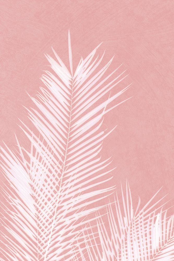 Palm Leaves On Pink Silhouette Ii art print by Amini54 for $57.95 CAD