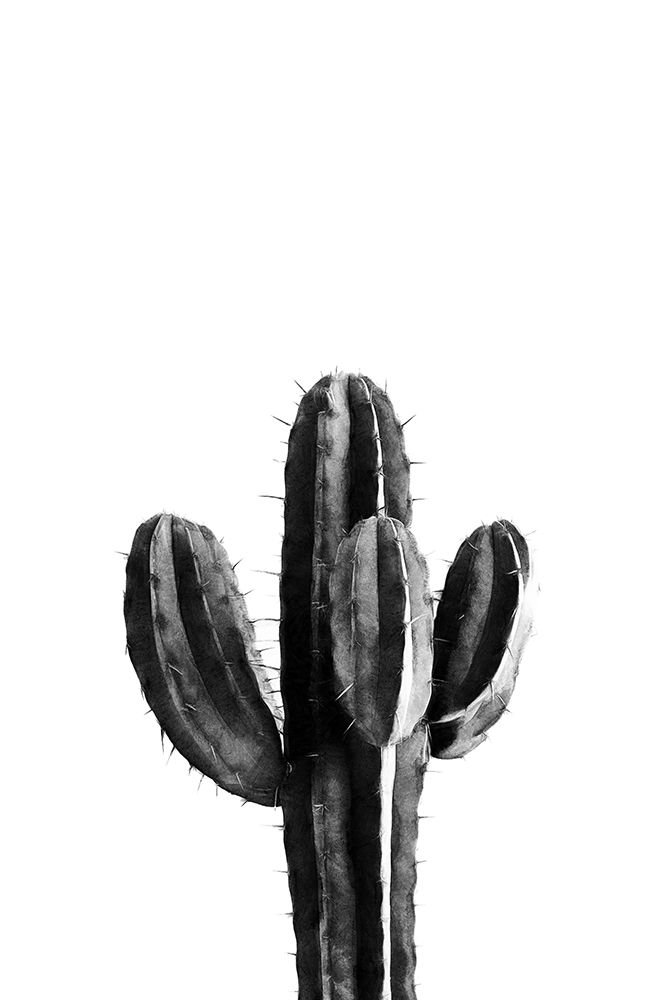 Cactus Black And White 03 art print by Amini54 for $57.95 CAD