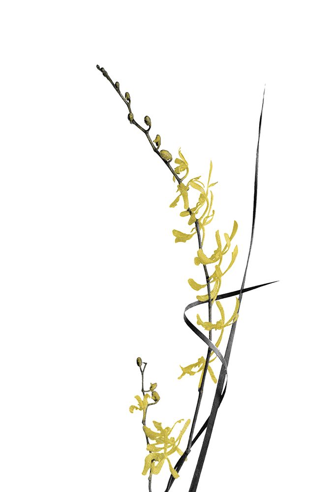 Flower Minimal Black And Gold 06 art print by Amini54 for $57.95 CAD