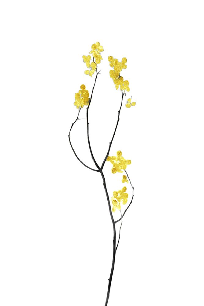 Flower Minimal Black And Gold 09 art print by Amini54 for $57.95 CAD