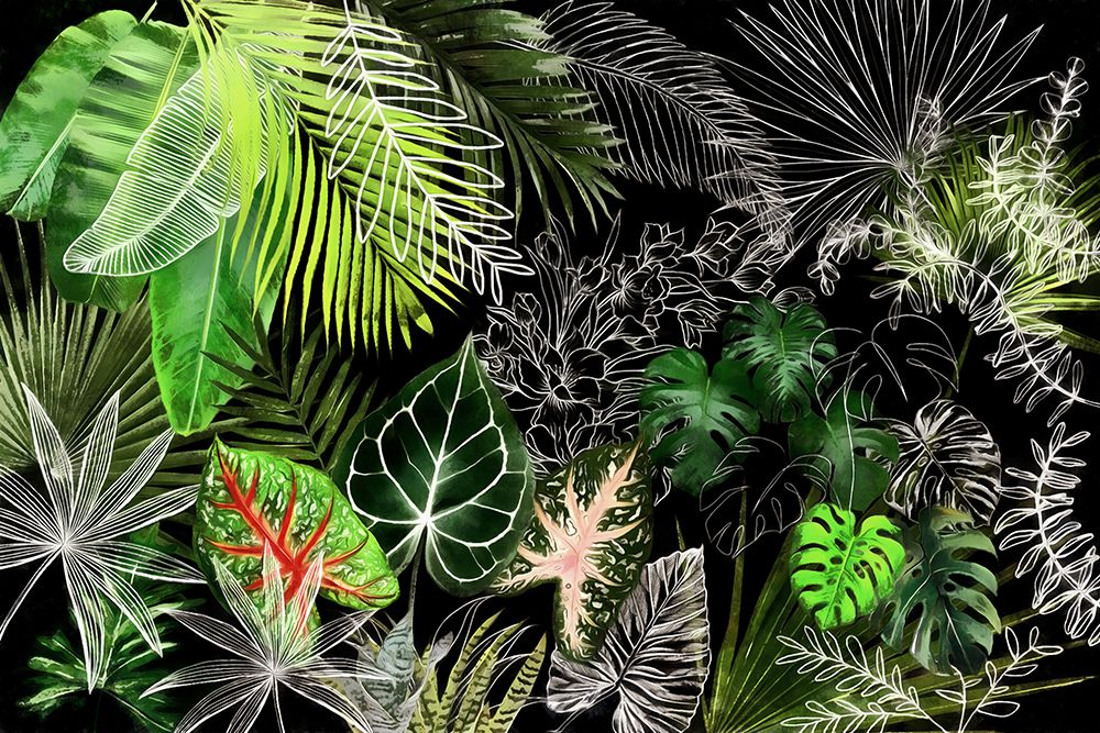 Tropical Foliage 04 art print by Amini54 for $57.95 CAD