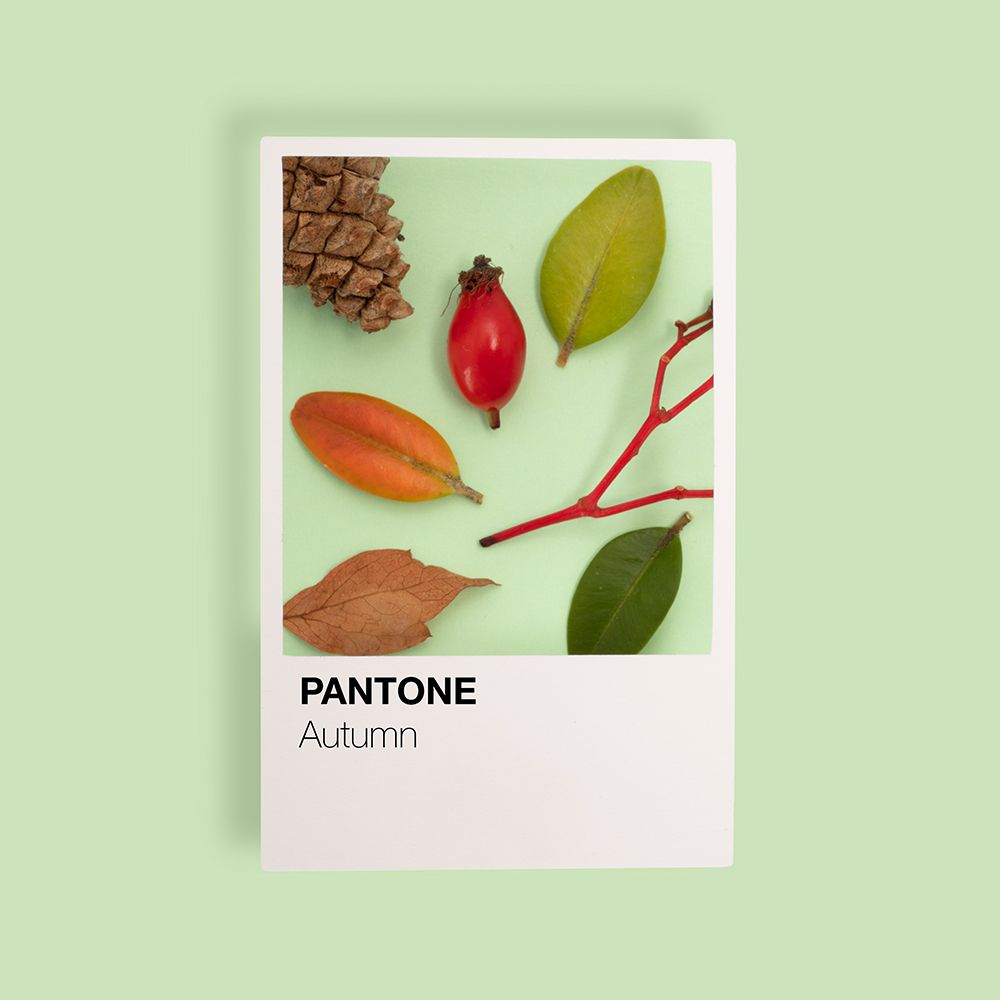 Autumn art print by Julia Ramiro for $57.95 CAD