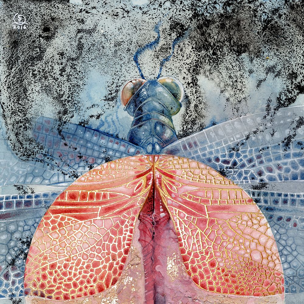Dragonfly 1 art print by Stephanie Law for $57.95 CAD