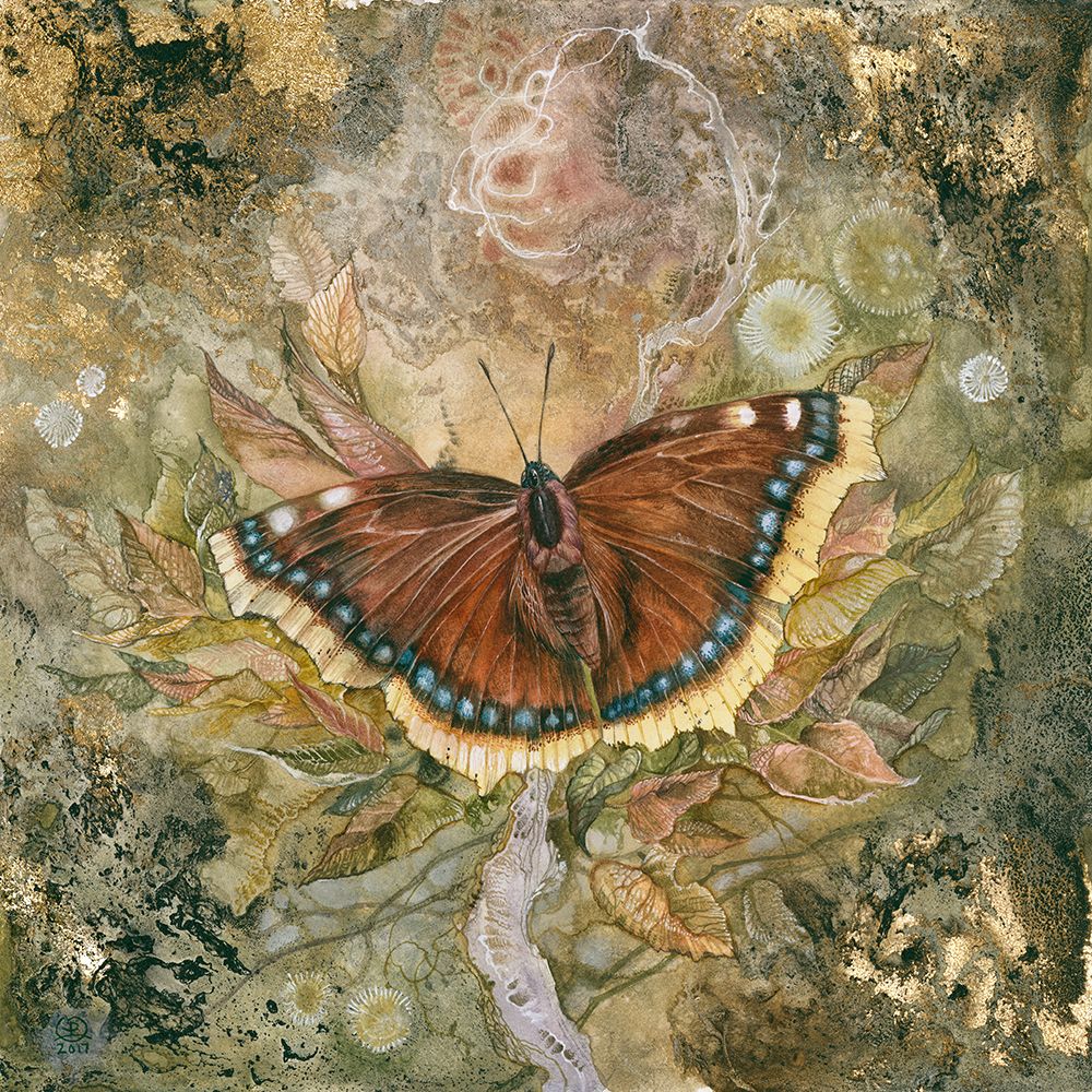 Mourning Cloak Butterfly art print by Stephanie Law for $57.95 CAD