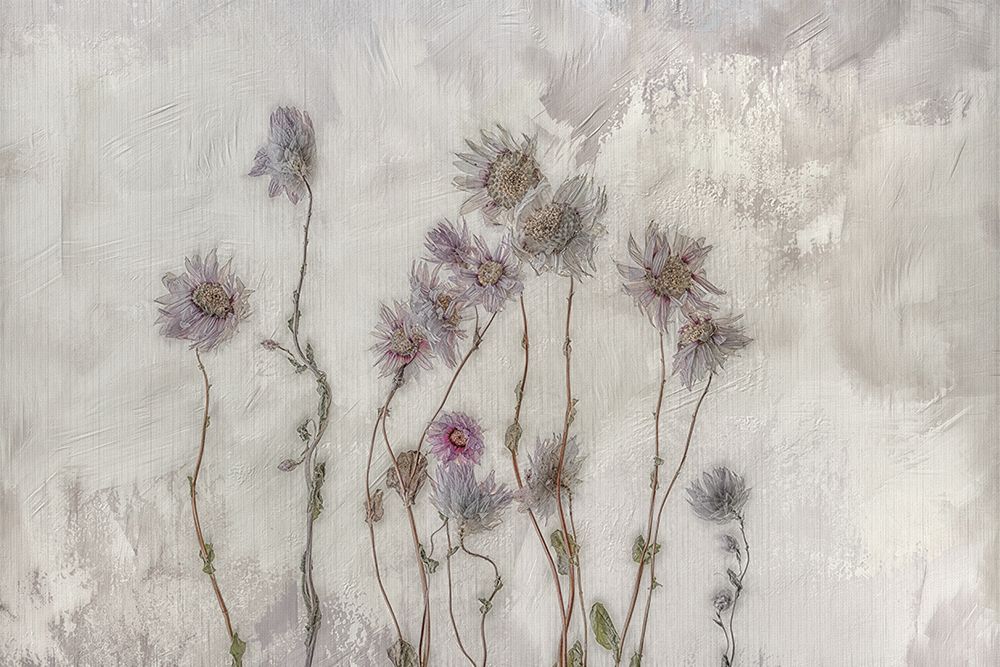Dried Flowers art print by Marie-anne Stas for $57.95 CAD