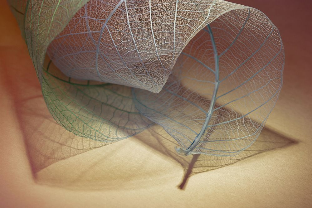 Whirl art print by Shihya Kowatari for $57.95 CAD